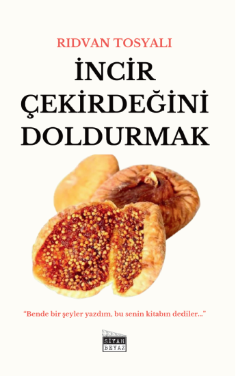 İncir Çekirdeğini Doldurmak, Rıdvan Tosyalı
